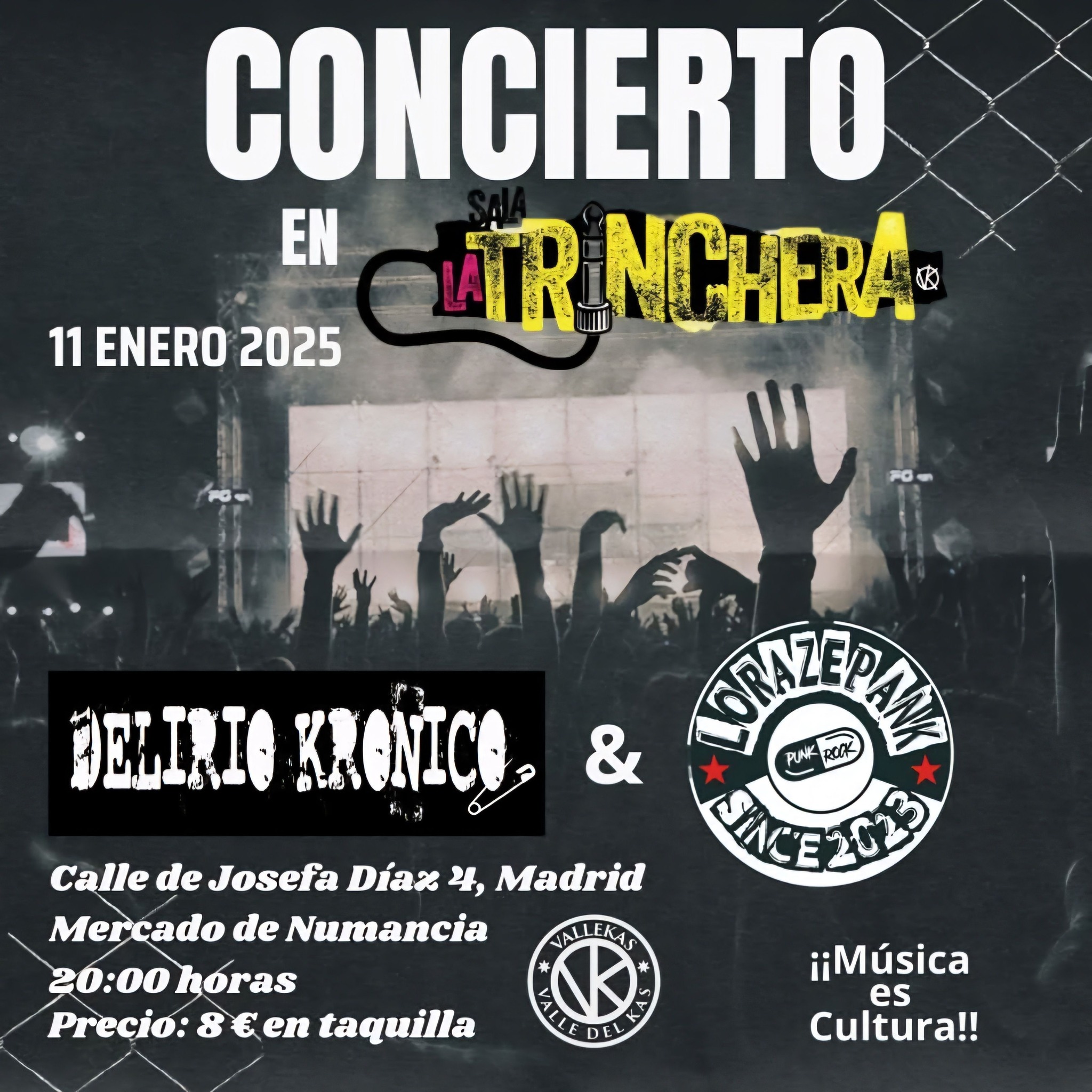delirio kronico