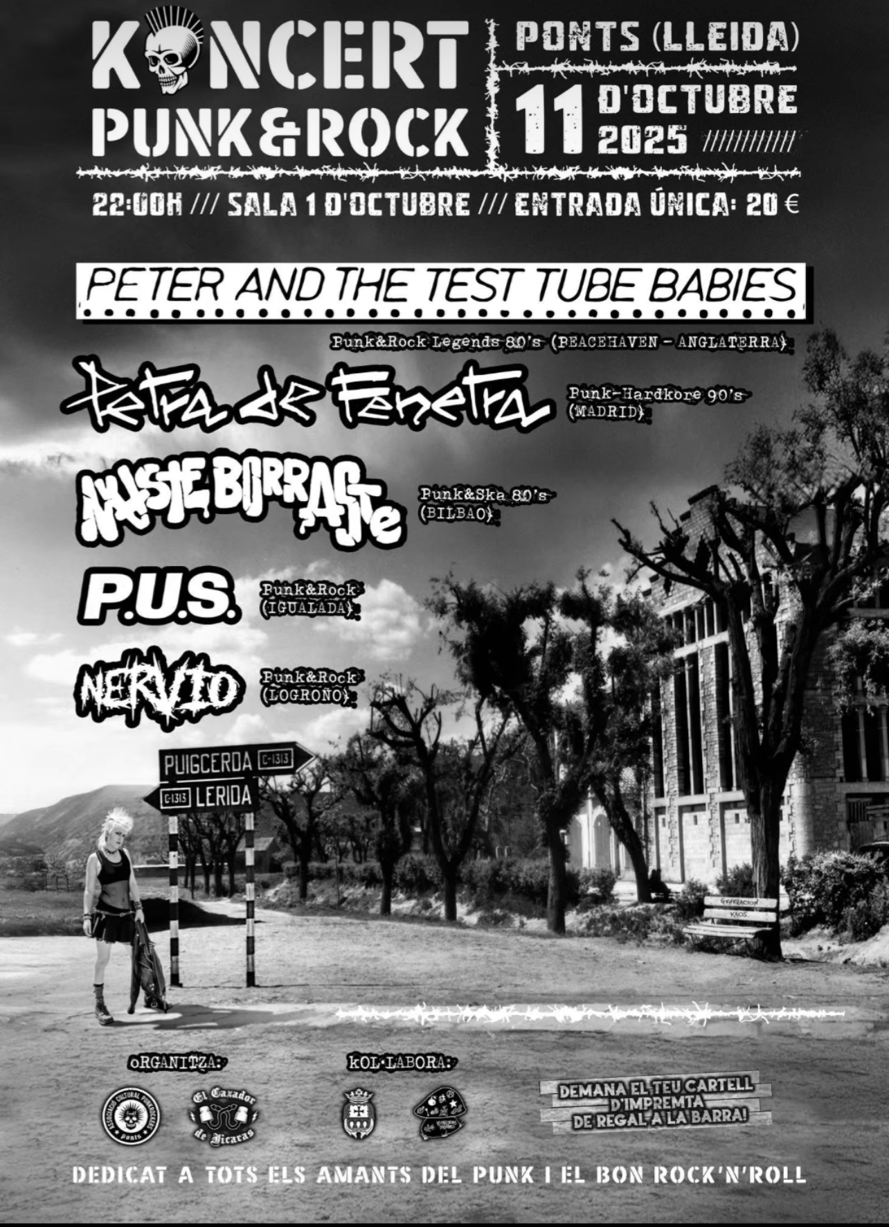 concierto punk ponts