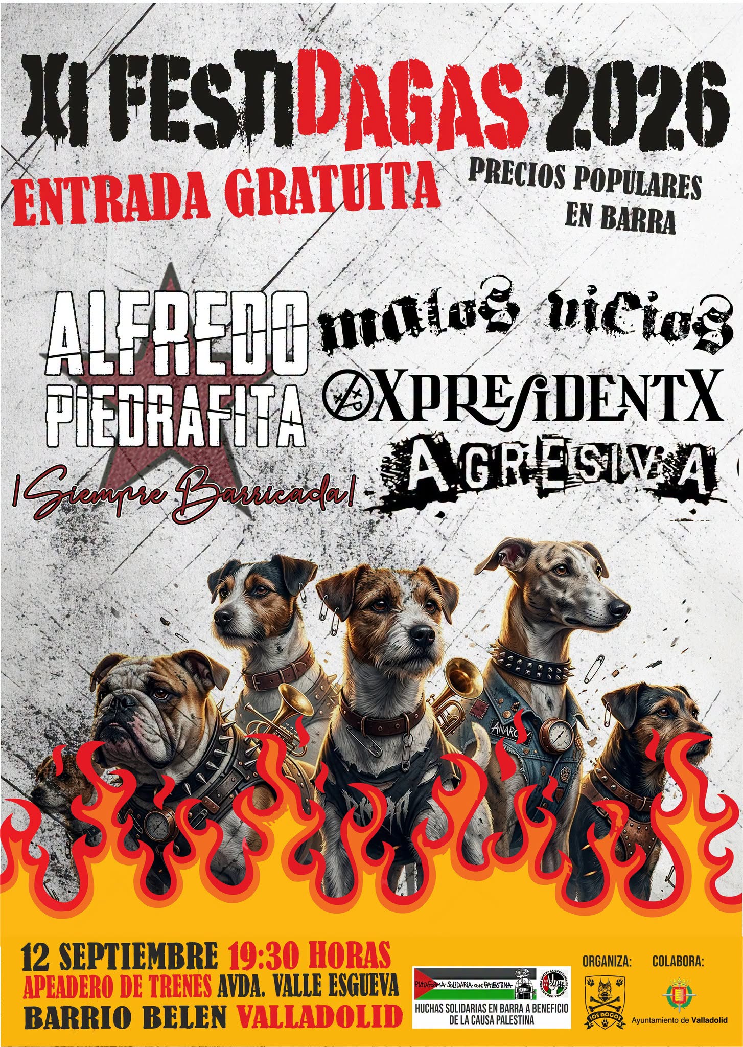 festi dagas valladolid