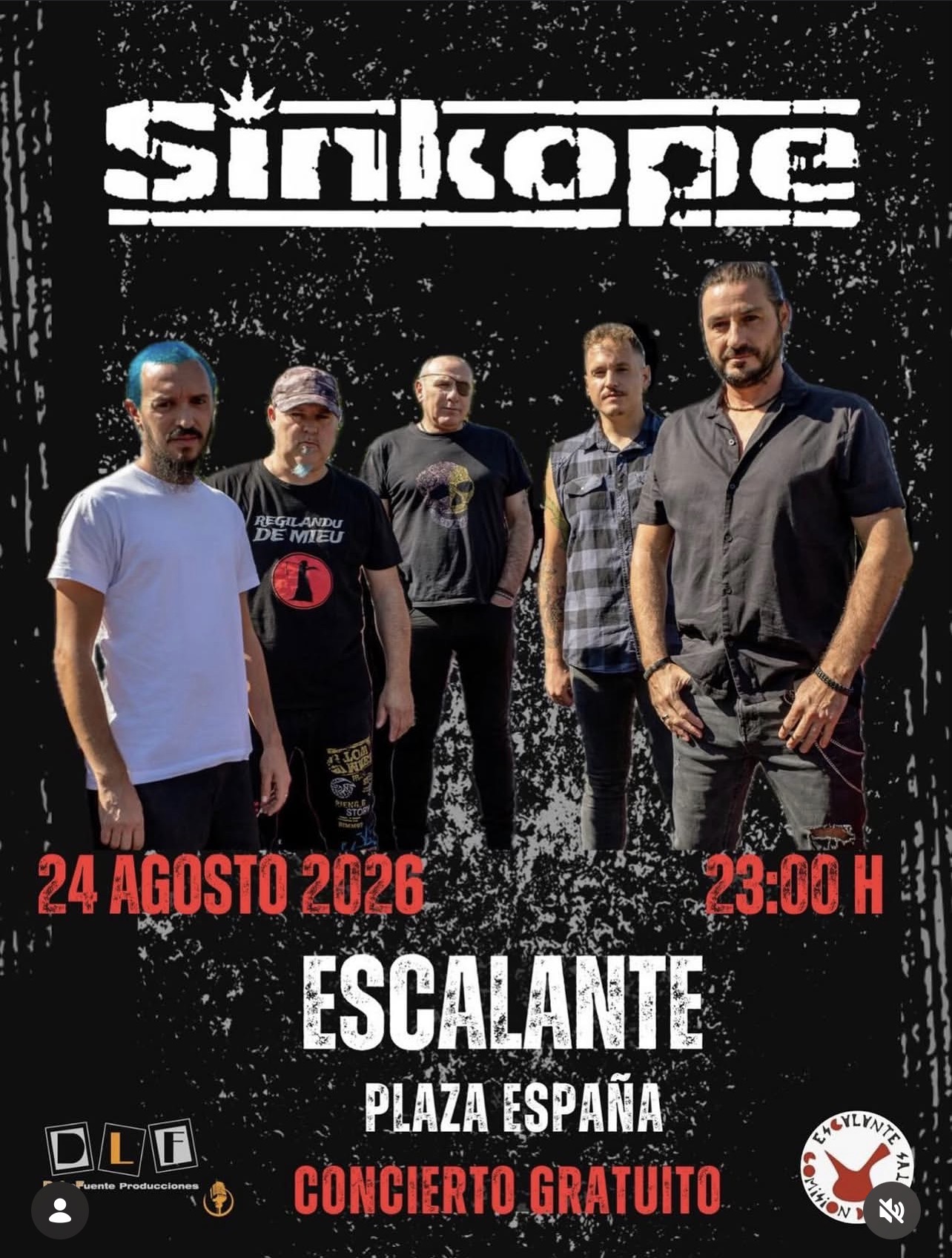 concierto sinkope escalante
